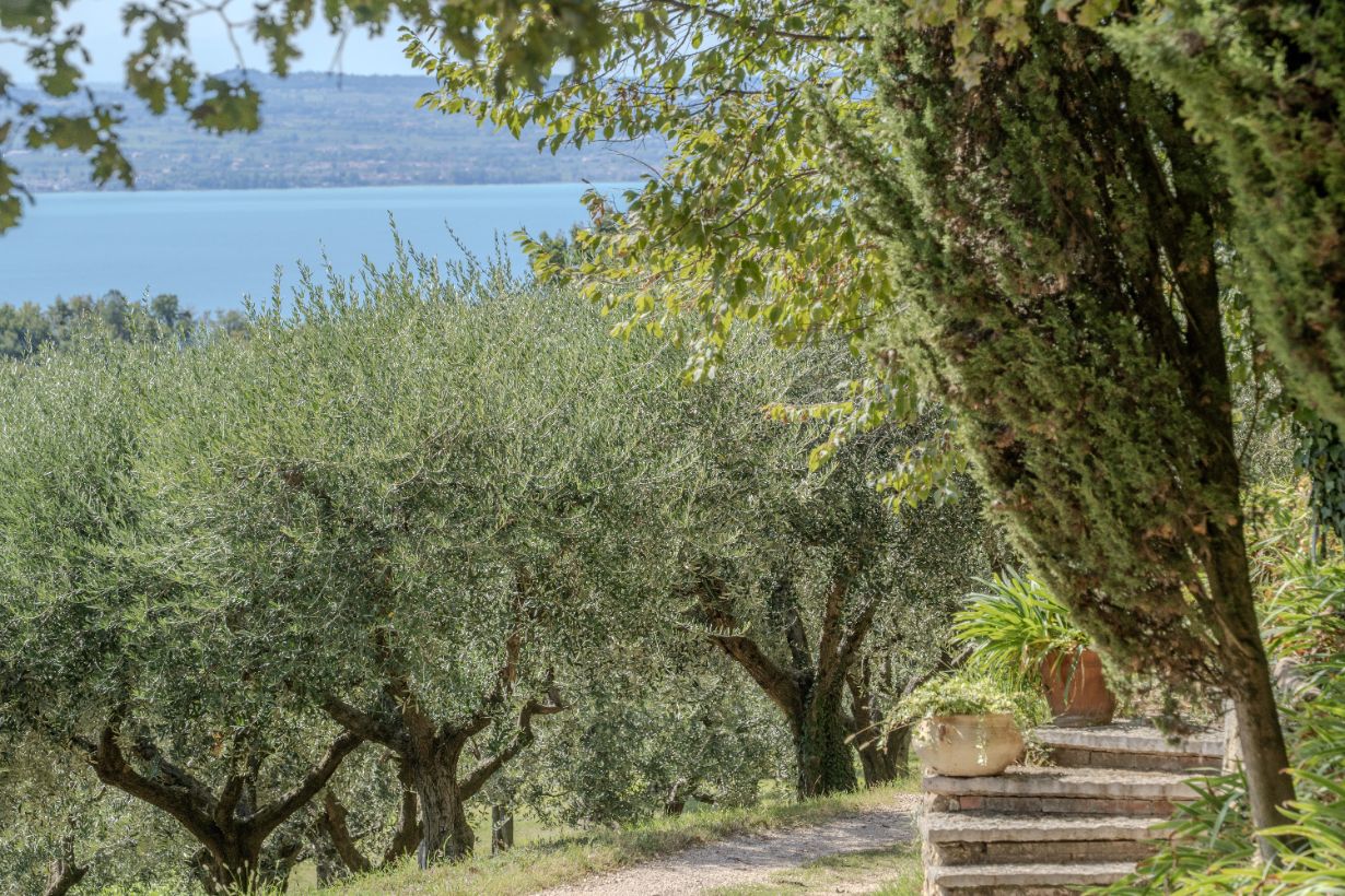 Villa Sant’Andrea gallery image 39