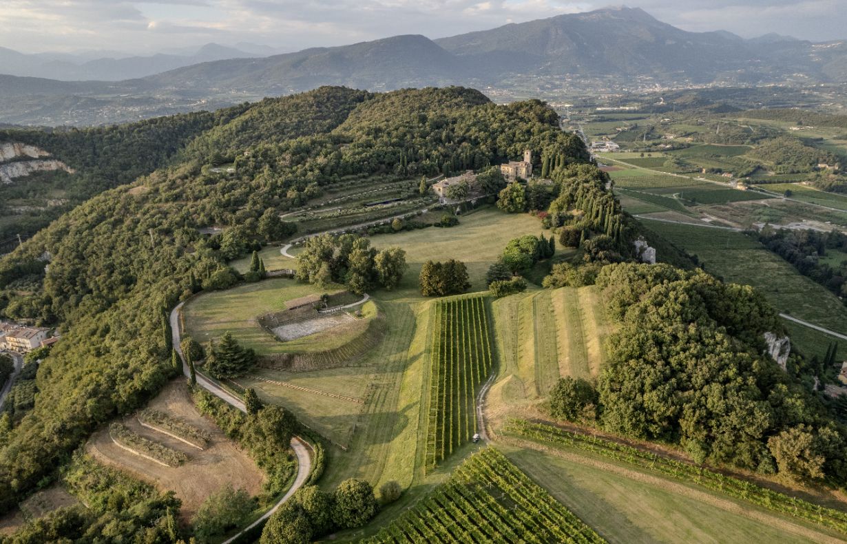 Villa Sant’Andrea gallery image 41