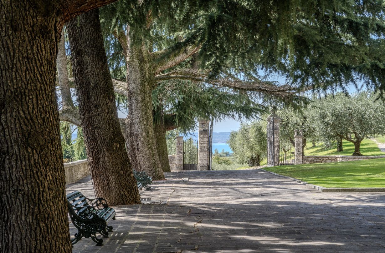 Villa Sant’Andrea gallery image 42