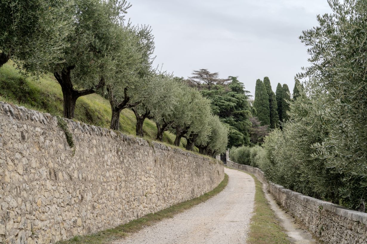 Villa Sant’Andrea gallery image 43