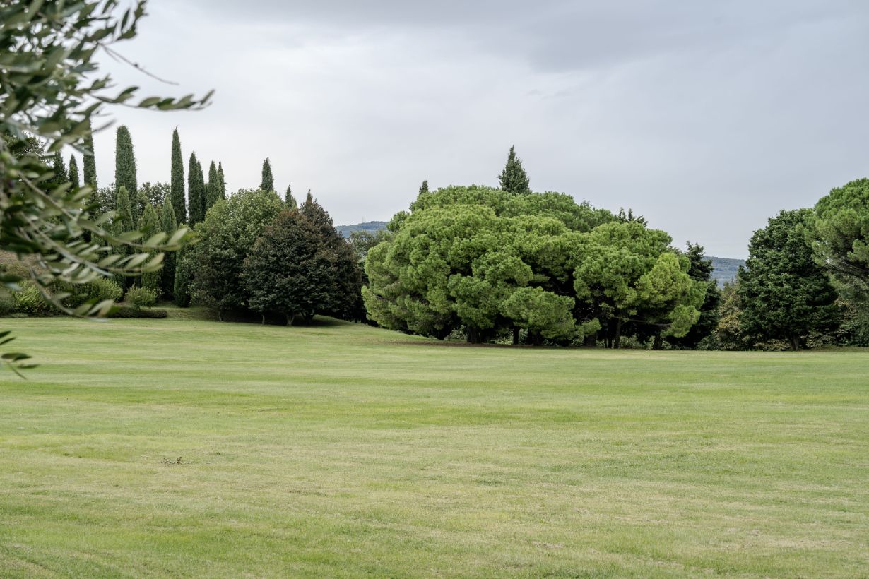 Villa Sant’Andrea gallery image 44